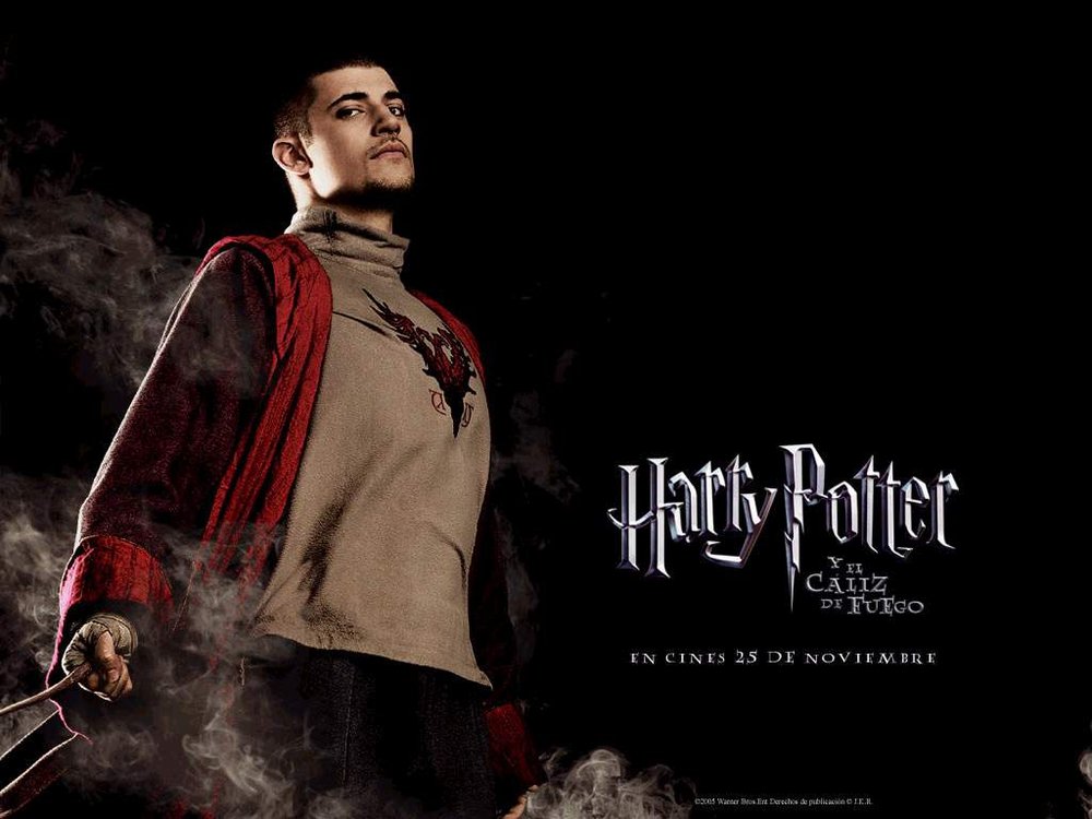 Stanislav Yanevski - Harry Potter 10.jpg